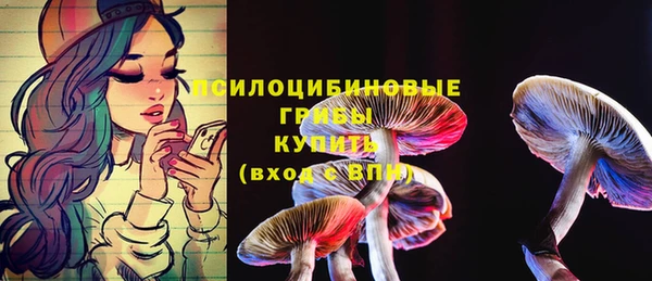дурь Алексин