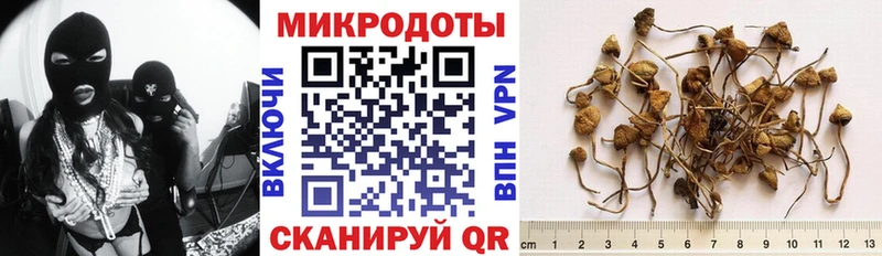 Псилоцибиновые грибы Magic Shrooms Калач-на-Дону